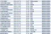 次新主動權(quán)益基金建倉積極 2025年A股機(jī)會較好