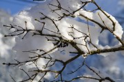 夢中大雪紛飛，厚雪之下的世界，夢中大雪紛飛，厚雪之下的世界探索