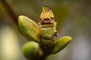 植物僵尸大逃殺——一款無(wú)限可能的植物僵尸生存射擊游戲，植物僵尸大逃殺，刺激的僵尸射擊生存挑戰(zhàn)