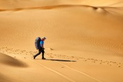 夢中的書香之旅，夢中的書香之旅，探索知識的奇幻之旅