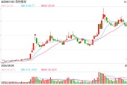 機(jī)器人概念連續(xù)反彈，科創(chuàng)50指數(shù)半日漲0.45%