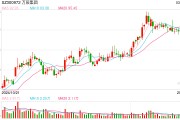 董事長被留置并立案調(diào)查 股價盤中一度跌超10% 萬辰集團如何化解危機？