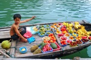 夢(mèng)中的捉魚(yú)之旅，未果的期待，夢(mèng)中的捉魚(yú)之旅，未果的期待之旅