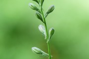 搭建菠菜網(wǎng)站的重要性與步驟，重要性，為何搭建菠菜網(wǎng)站？步驟指南