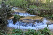 夢(mèng)到淌水，心靈與自然的交融，夢(mèng)中的淌水，心靈與自然的交融之旅