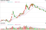 電解液“一哥”天賜材料業(yè)績再腰斬，比兩年前少賺50億元