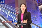 1100多位中德商界人士參與這次會議 他們說“我們離不開中國”