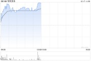 寶積資本持續(xù)上漲逾59% 擬折讓約19.72%發(fā)行最多合共1.05億股認(rèn)購股份