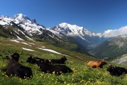 自由的纜車上山之旅，纜車旅行，一次自由探索山區(qū)的美妙體驗