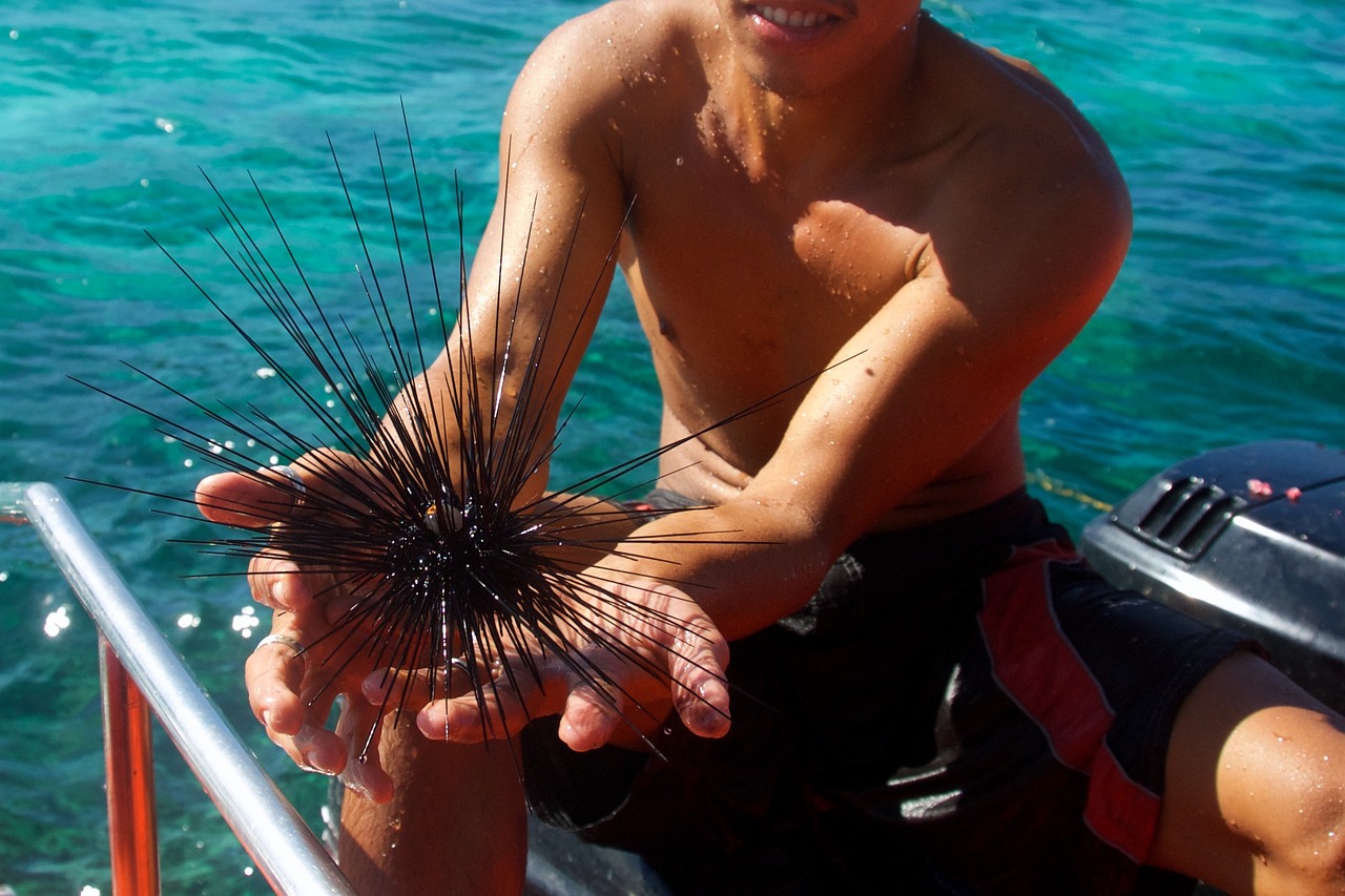 夢到捉魚的奇幻之旅