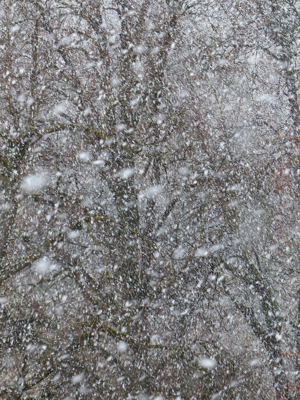 雪舞夢境——我的夢中雪景