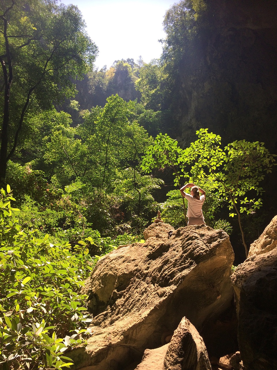 山路之夢(mèng)，探索未知的旅程