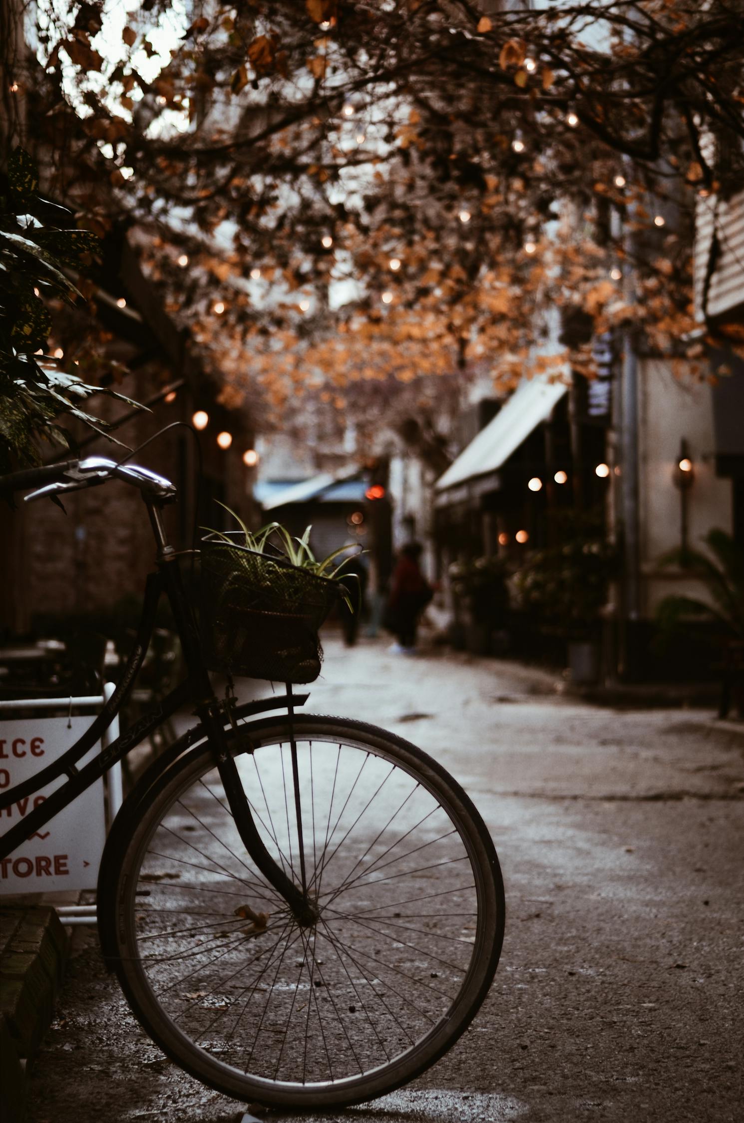 夢中的電車之旅，一次難忘的騎行體驗