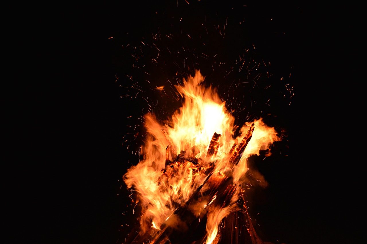 夢(mèng)中的虎影，一次與猛虎的較量