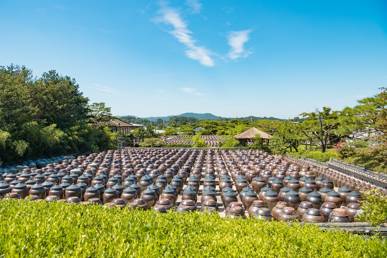 打造空中農(nóng)田，讓夢想照進(jìn)現(xiàn)實(shí)——免費(fèi)種地游戲的探索與啟示