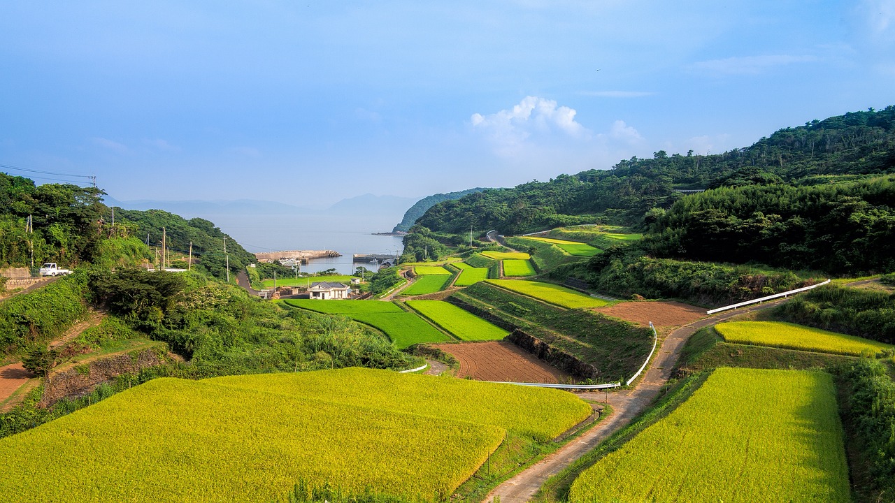 湘西網(wǎng)站流量，助力鄉(xiāng)村振興的數(shù)字引擎