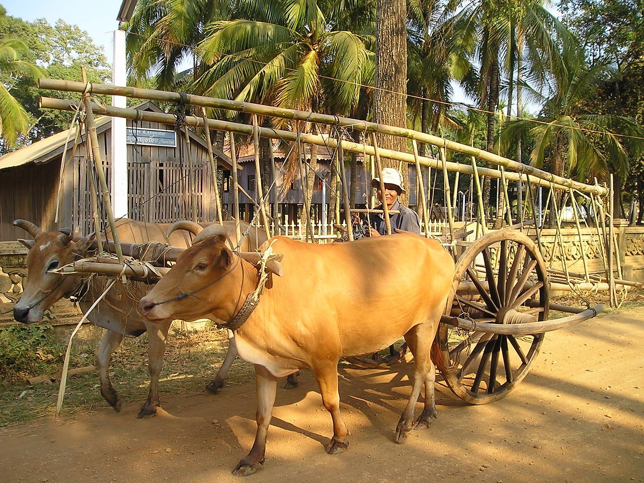 石嘴山農(nóng)產(chǎn)品網(wǎng)站搭建，助力鄉(xiāng)村振興，打造區(qū)域特色品牌