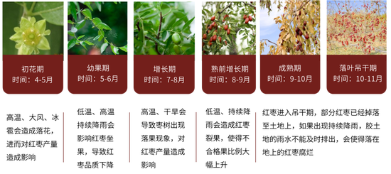 紅棗：宏觀回暖支撐，基本面改善暫有限