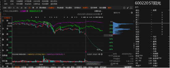 江蘇陽光有非經(jīng)營性資金占用和業(yè)績預(yù)告變臉！