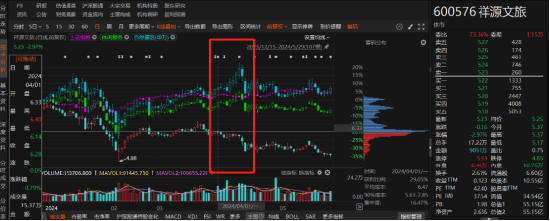 祥源文旅非經(jīng)營(yíng)性資金占用雖已歸還，但仍被出具警示函！