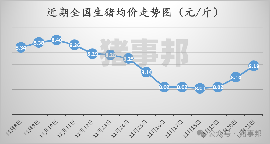 11月21日豬價匯總（繼續(xù)普漲，但情緒分化?。?></p>
<p><p style=