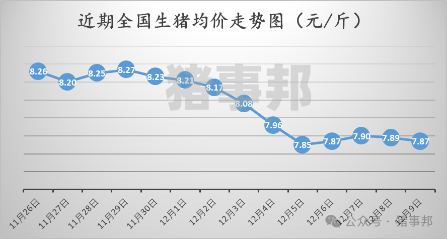 12月9日豬價匯總（北弱南強！）