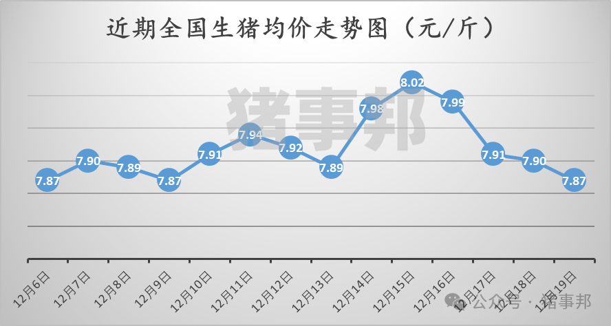 12月19日豬價匯總（情緒偏差，均價跌4天?。?></p>
<p><p style=