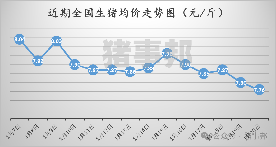 1月20日豬價匯總（多數(shù)延續(xù)跌勢?。?></p>
<p><p style=