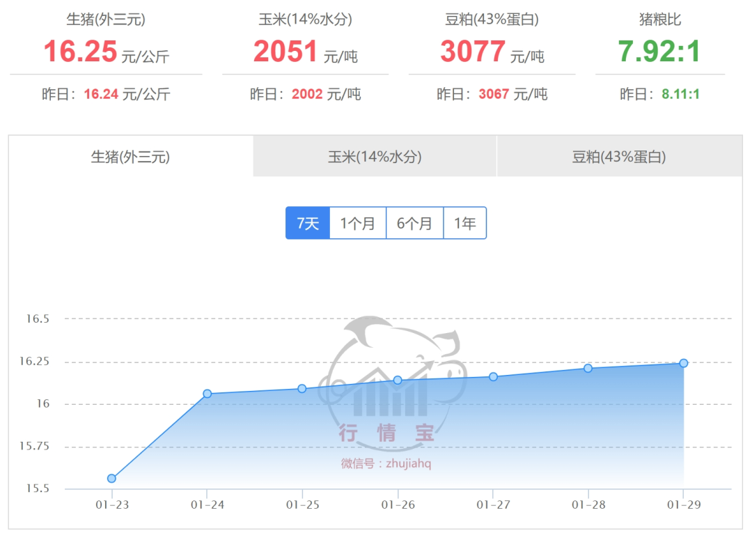 2025年1月30日國內(nèi)生豬價格一覽