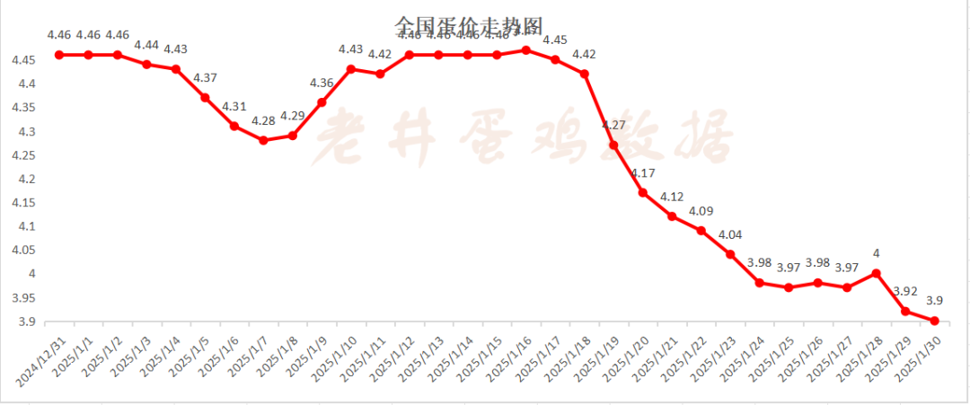 老井扯雞蛋：昨日全國(guó)雞蛋均價(jià)、淘汰雞均價(jià)均偏弱！