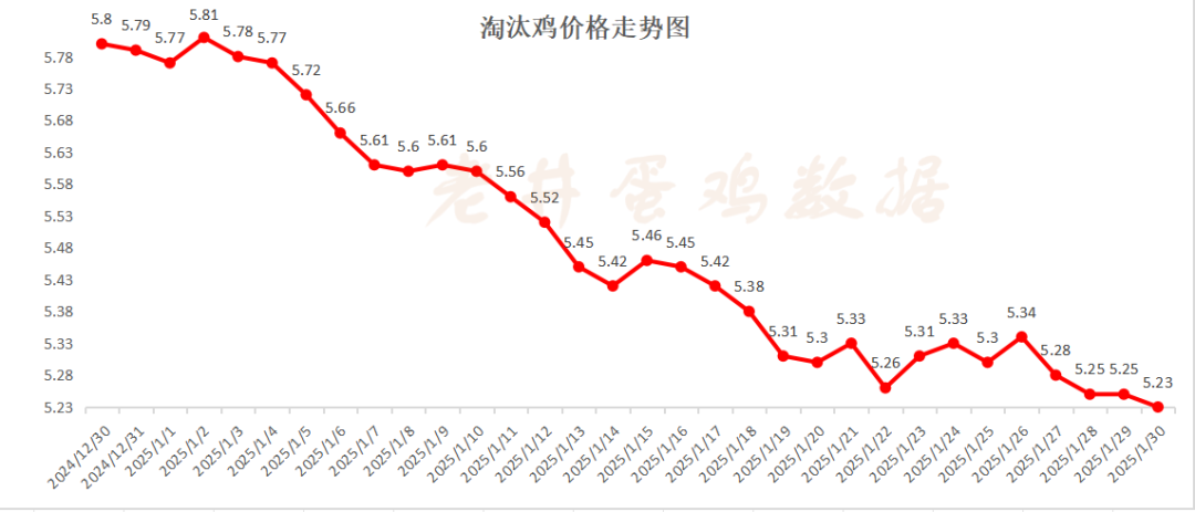 老井扯雞蛋：昨日全國(guó)雞蛋均價(jià)、淘汰雞均價(jià)均偏弱！