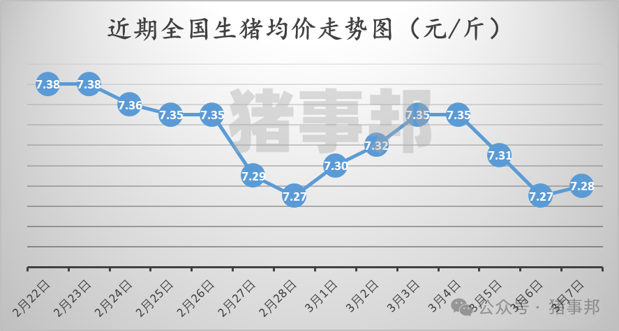 3月7日豬價(jià)匯總（北方稍強(qiáng)，南方稍弱?。?></p>
<p><p style=