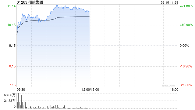 栢能集團(tuán)早盤大漲超20% 2024年全年純利同比增長(zhǎng)331%